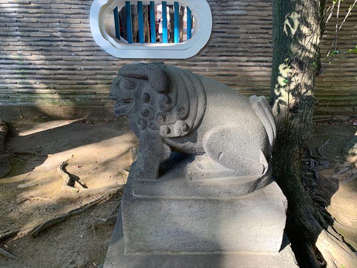 赤坂氷川神社の古い狛犬(江戸はじめ・右)