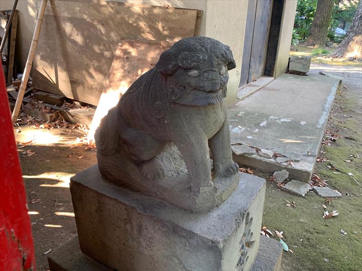 赤坂氷川神社の狛犬(江戸獅子・右)