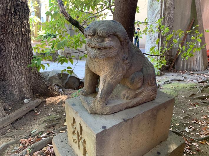 赤坂氷川神社の狛犬(江戸獅子・左)