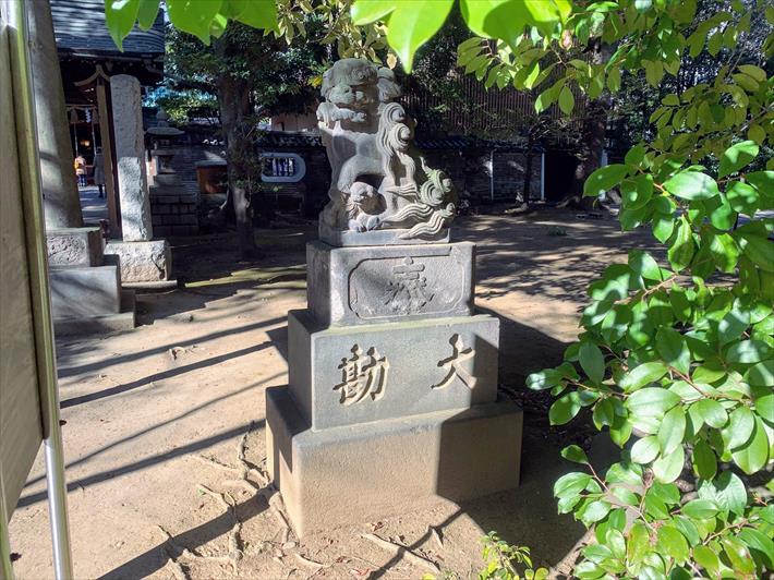 赤坂氷川神社の狛犬(手水舎前・右)