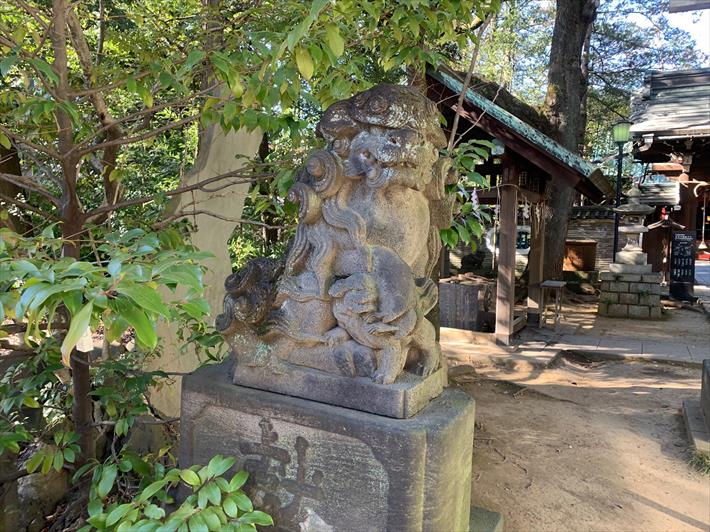 赤坂氷川神社の狛犬(手水舎前・左)