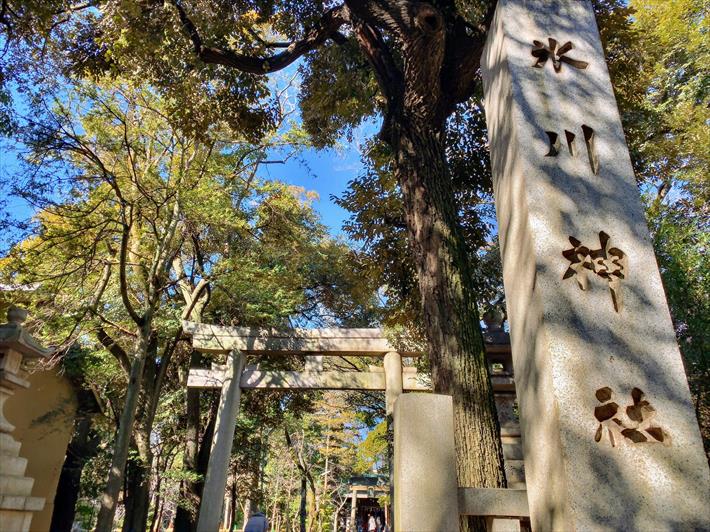 赤坂氷川神社の正面鳥居と参道