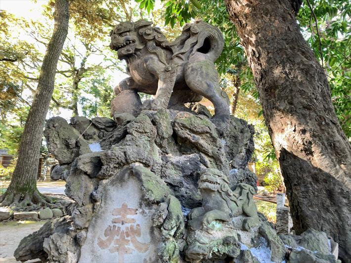 赤坂氷川神社の狛犬(獅子山・右)