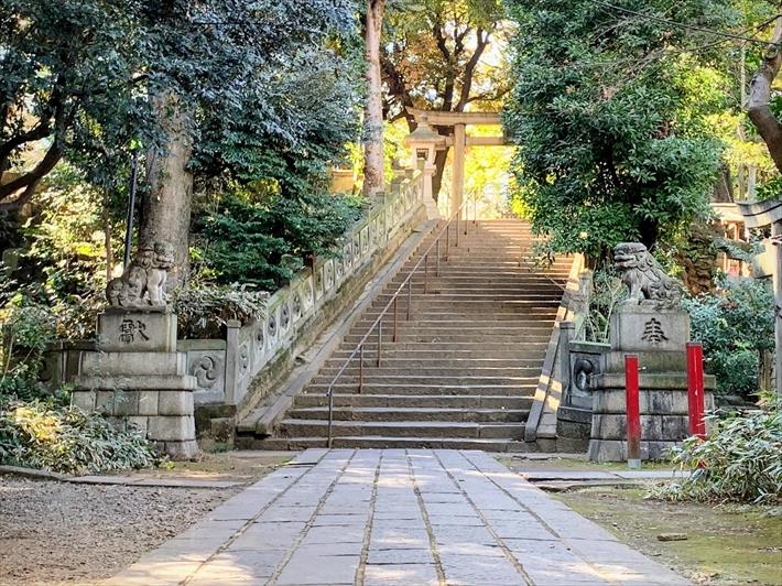赤坂氷川神社の狛犬(東参道2)