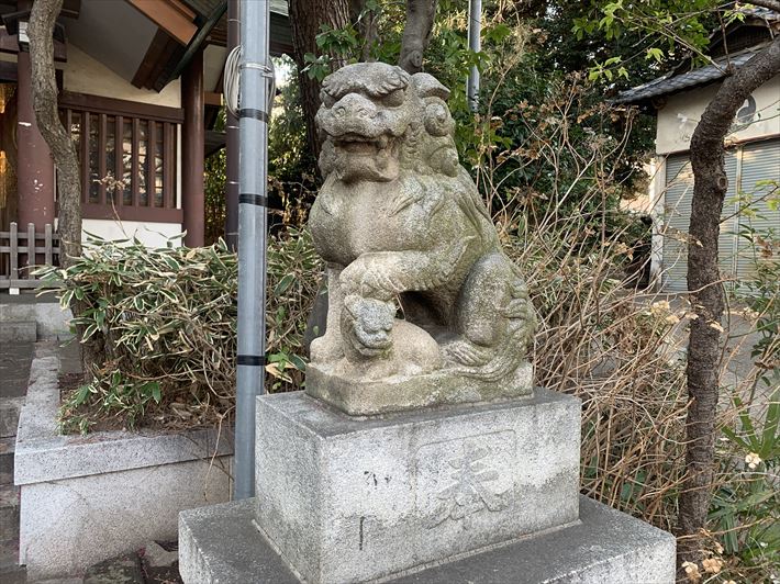 葛谷御霊神社の狛犬・右