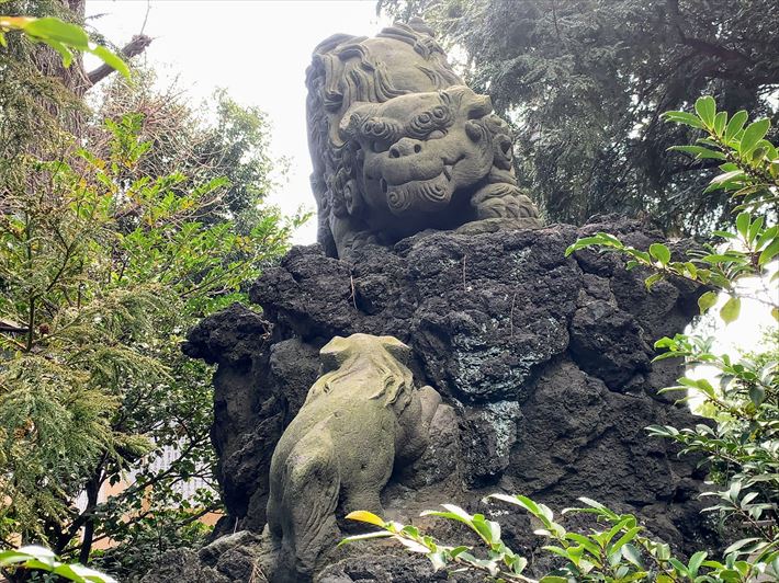 中井御霊神社の獅子山の狛犬・左