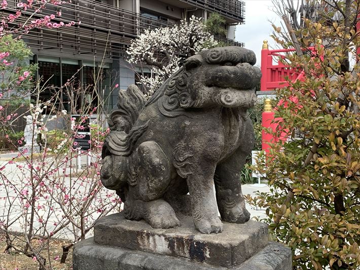 成子天神社の狛犬・左
