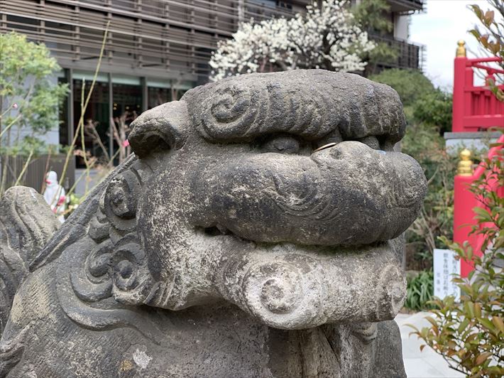 成子天神社の狛犬・左アップ