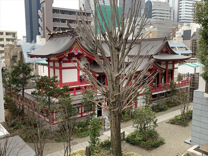 成子天神社の富士塚から見える夫婦公孫樹の雄木