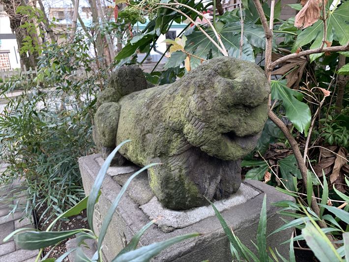 成子天神社の古い狛犬の顔
