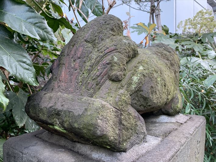 成子天神社の古い狛犬の尻尾