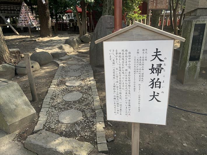 浅草神社の夫婦狛犬