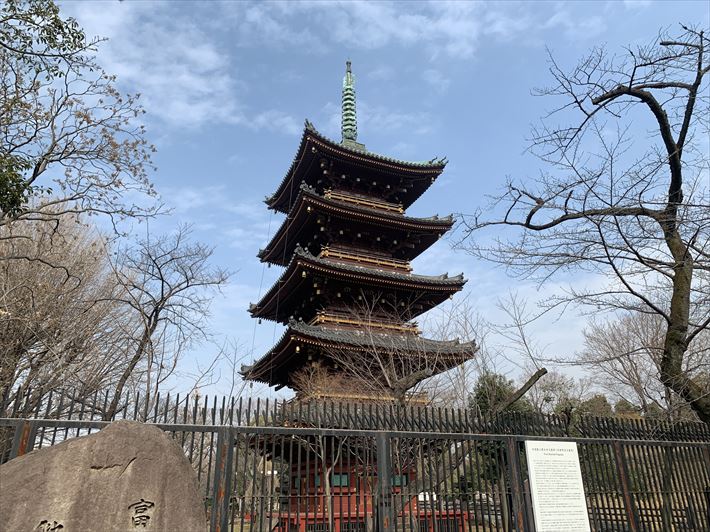上野東照宮から見える五重塔